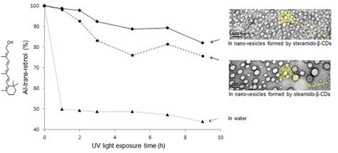 Synthesis, Characterization, and Retinol Stabilization of Fatty Amide-β ...