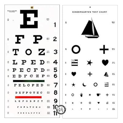 Buy Elite Medical Instruments ® Kindergarten and Snellen Wall Eye ...