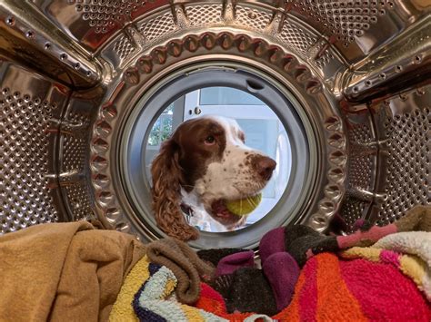 Image result for Insta360 Tutorial