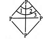 The number of P-P-P angle in PA structure is: - Tardigrade