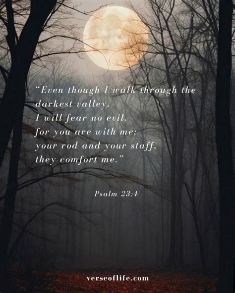 Image result for Scriptures About Calming Down