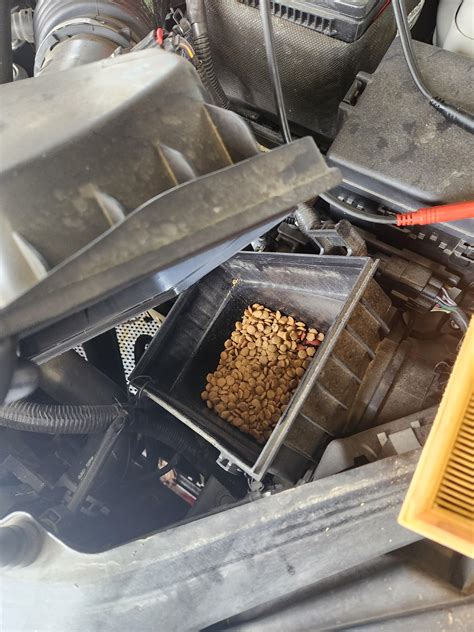 Bone apple tea : r/Justrolledintotheshop