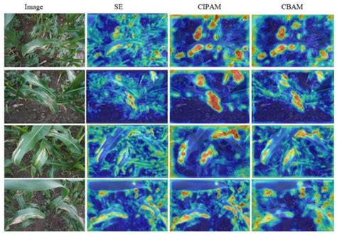CEMLB-YOLO: Efficient Detection Model of Maize Leaf Blight in Complex ...