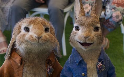 《比得兔2：逃跑計劃》：一場相聲一哥和兔界一哥的逃亡之旅？ - 每日頭條