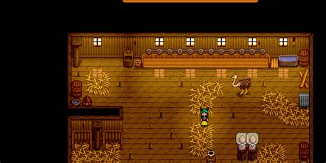 Stardew Valley: How to Get Ostrich Eggs