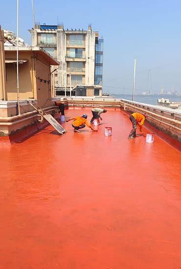 Comprehensive Waterproofing and Painting