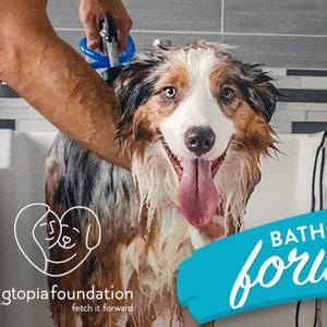 National Bubble Bath Day - Bathe it Forward, Dogtopia of ...