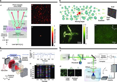 Image result for Deep Tissue Focusing