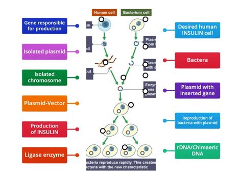 Genetic Engineering 的图像结果