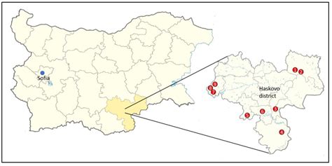 Algal Biodiversity of Nine Megaliths in South-East Bulgaria