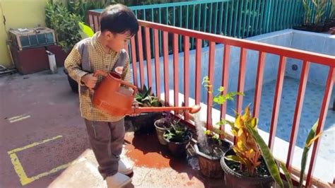 Image result for Knapsack Problem Explained