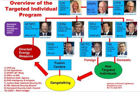 Targeted Individual Program 的图像结果