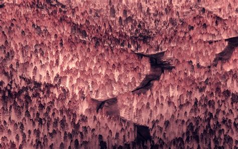 Image result for Colo Server