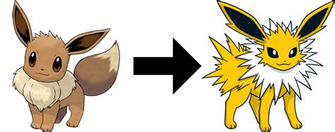 Image result for Pokemon Randomizer Sun