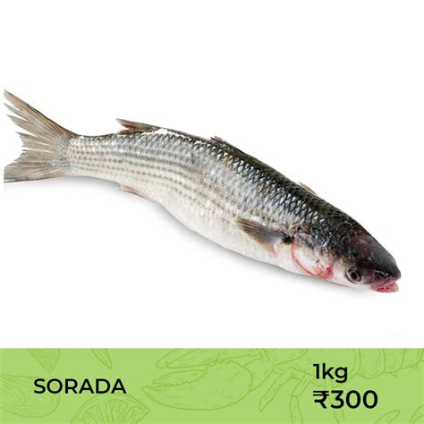 Sea fish and crab | Falcon Fresh