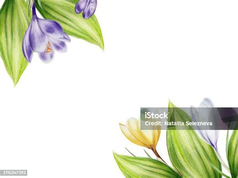 Image result for First Conditional Pattern