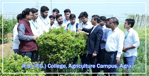Online B.Sc. M.Sc. Agriculture Registration | R.B. (P.G.) College, Agra ...