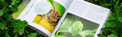 Image result for Insect Reproduction Books