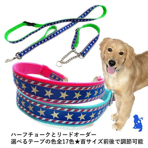 送料無料★ L レトリバーサイズのハーフチョーク オーダー 【USA】横幅2.5cm 大型犬用首輪とリードのセット ハーフチョークカラー 日本 ...