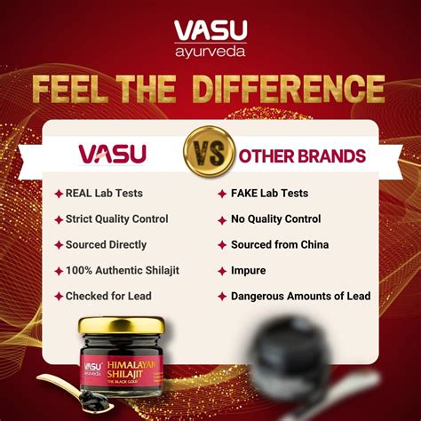 VASU Ayurveda Himalayan Shilajit Resin 400mg – Lab India | Ubuy