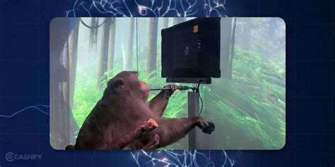 What Is Neuralink? Top Facts About Elon Musk’s Technology On Brain ...