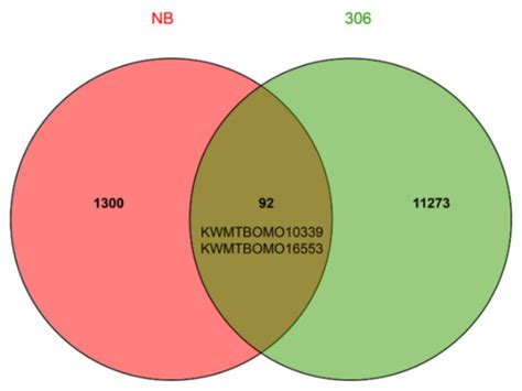 Whole Transcriptome-Based Study to Speculate upon the Silkworm Yellow ...