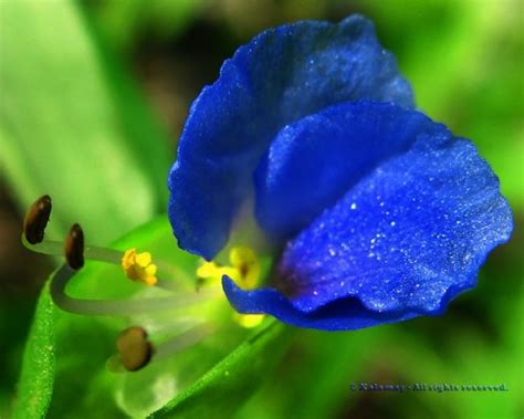 Fill Screen Display 的图像结果