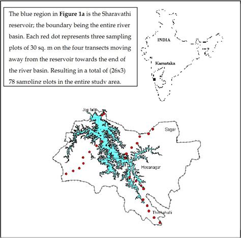 Ant Species Composition and Diversity in the Sharavathi River Basin ...