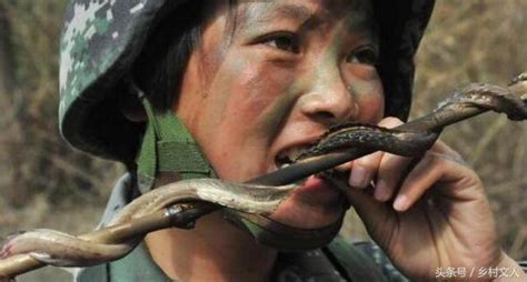 美軍看了吃驚：中國女兵扒蛇皮，吃蛇肉，不遜男兵！ - 每日頭條