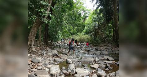 Wild Otters Internship Goa I LBB Kolkata