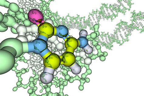 Nitrogenous Bases - Definition and Structures