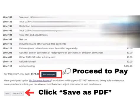 HST NETFILE 的图像结果