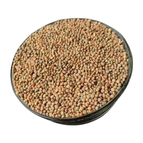 Products | Eurofrost Holdings