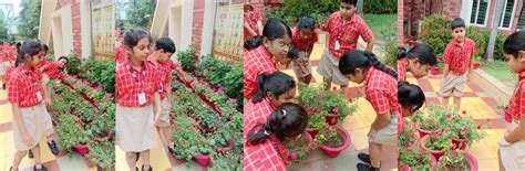 Nature as the Classroom: Cambridge Grade IV SAIoneers Explore ...