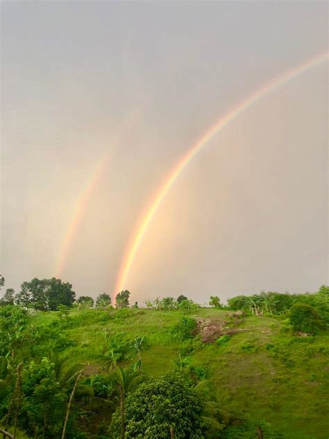 DON PILIMON'S ORGANIC FARM PRODUCTS AND LIFESTYLE (Iloilo City ...