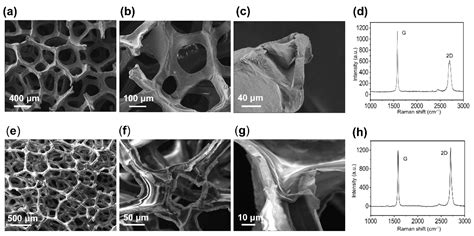 Highly Flexible and Compressible 3D Interconnected Graphene Foam for ...
