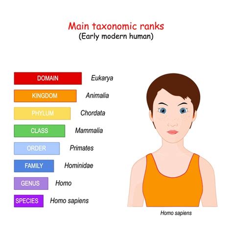 Image result for Scientific Classification Table