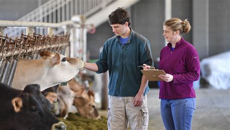 How to Get Into Vet School: 8 Application Tips for Aspiring Animal Doctors
