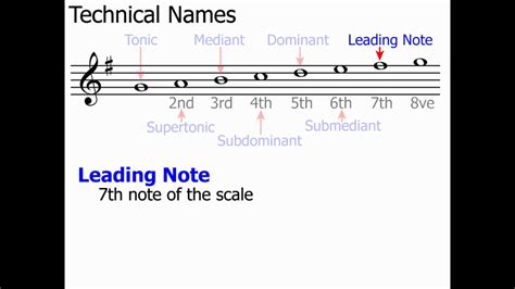 Image result for Musical Scale Notes