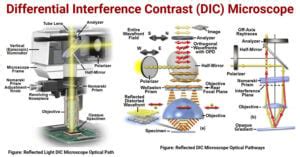 Image result for Interference Microscope