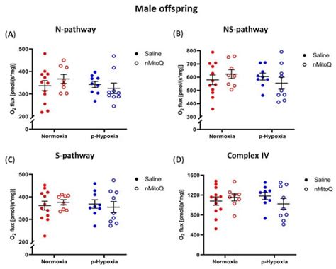 Sex-Specific Effects of Prenatal Hypoxia and a Placental Antioxidant ...