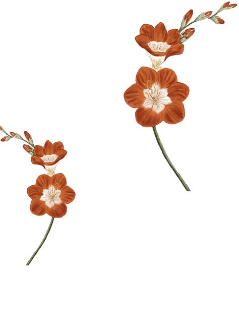 Old School Rituals | Keepers of Heirloom Beauty Secrets