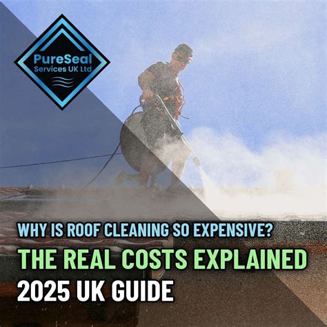 Why Is Roof Cleaning So Expensive? The Real Costs Explained