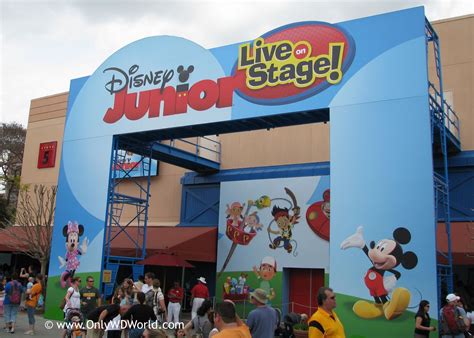 Top Disney World Restaurants, Shows, & Attractions For Families With ...