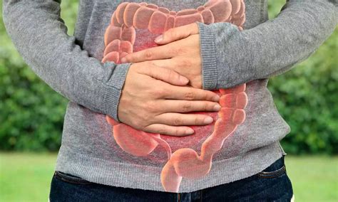 New Drug Combination Shows Promise in Treating Intestinal Worm ...