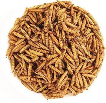 AquaNature Whole Dried Black Soldier Fly Larvae Treat - Food for Fish ...