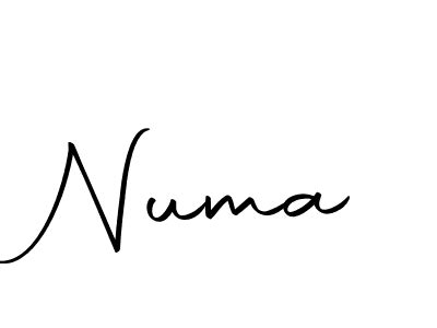 Image result for Numa Numakey Signuiture