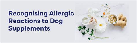Recognizing Allergic Reactions to Dog Supplements: A Guide – K9 Vitality