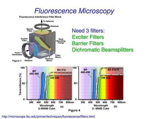 Solvent Effects 的图像结果