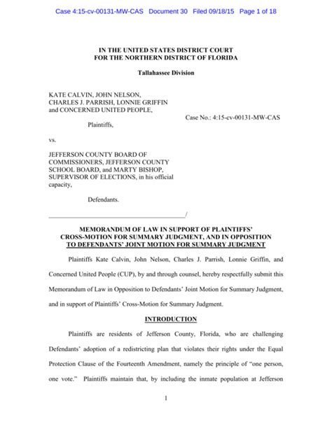 Summary judgment Examples 的图像结果